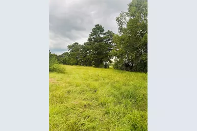 Tbd Fm 770 N, Hull, TX 77564 - Photo 3