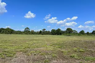 00000 County Road 203, Liverpool, TX 77577 - Photo 5