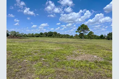 00000 County Road 203, Liverpool, TX 77577 - Photo 3