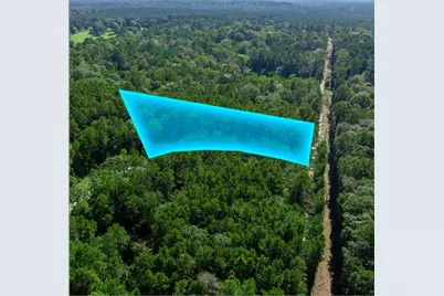 - Sweetgum Lane Lane, Oakhurst, TX 77359 - Photo 3