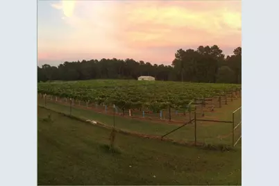 - Sweetgum Lane Lane, Oakhurst, TX 77359 - Photo 15