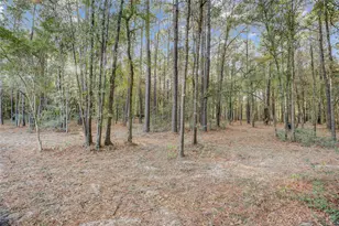 1619 Last Chisos Ln, Montgomery, TX 77316 - Photo 33