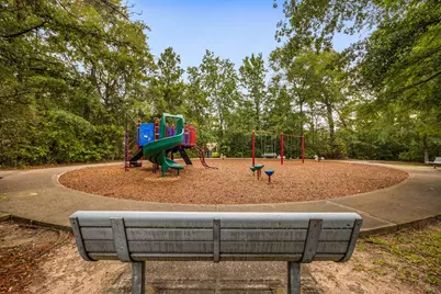 54 Ginger Jar Street, The Woodlands, TX 77382 - Photo 27