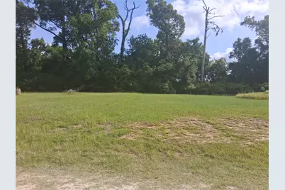 Tbd Memphis Bell Road, Trinity, TX 75862 - Photo 5