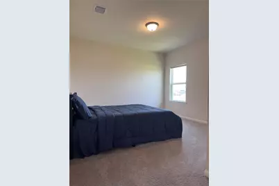 32210 Slender Spreadwing Drive, Fulshear, TX 77441 - Photo 15
