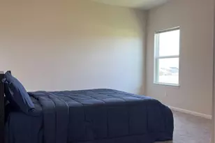 32210 Slender Spreadwing Dr, Fulshear, TX 77441 - Photo 15