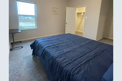 32210 Slender Spreadwing Drive, Fulshear, TX 77441 - Photo 3