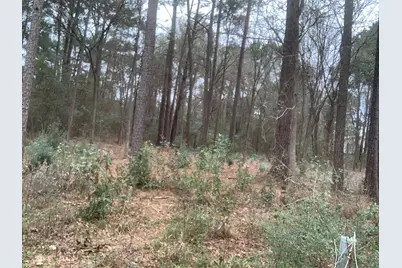 11 Yolanda Street, Huntsville, TX 77320 - Photo 3