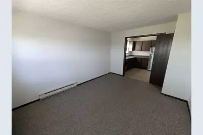 207 Stringtown Rd, Other, IL 61759 - Photo 7