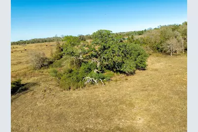 Tbd Fm 532, Hallettsville, TX 77964 - Photo 9