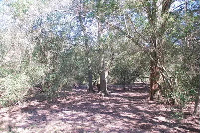 Tbd Fm 532, Hallettsville, TX 77964 - Photo 23