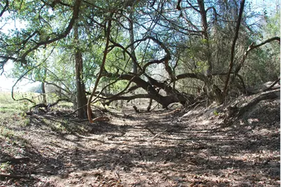 Tbd Fm 532, Hallettsville, TX 77964 - Photo 21