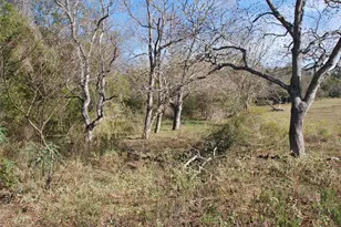 Tbd Fm 532, Hallettsville, TX 77964 - Photo 11