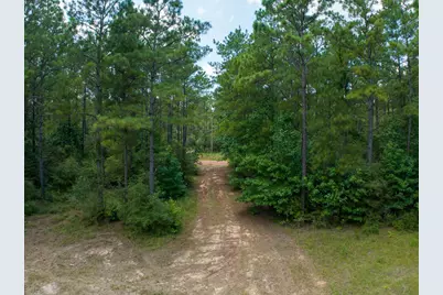 T-1 Benny Griffin Road, Livingston, TX 77351 - Photo 27