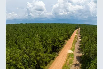 T-1 Benny Griffin Road, Livingston, TX 77351 - Photo 13