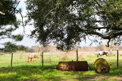239 County Road 402, Danbury, TX 77534 - Photo 43