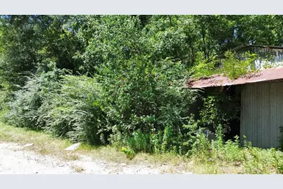 .48 Ac Fm 1013 W, Kirbyville, TX 75956 - Photo 3