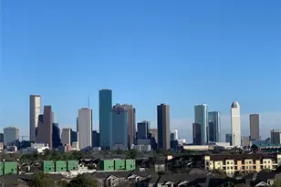 306 McGowen St, Houston, TX 77006 - Photo 21