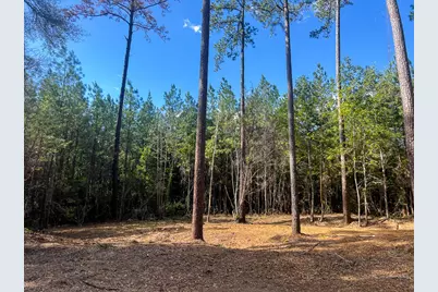 15 Fm 350, Livingston, TX 77351 - Photo 9