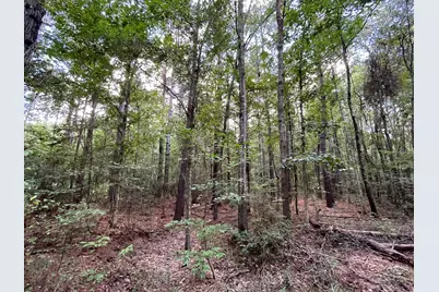 870 Cr 4259, Woodville, TX 75979 - Photo 45