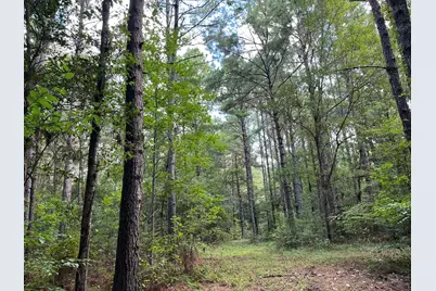 870 Cr 4259, Woodville, TX 75979 - Photo 5