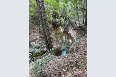 870 Cr 4259, Woodville, TX 75979 - Photo 47