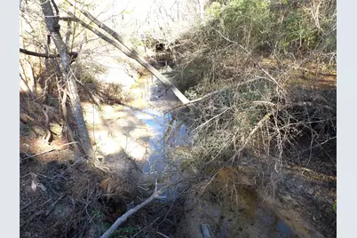 16590 E State Highway 21, Grapeland, TX 75844 - Photo 9