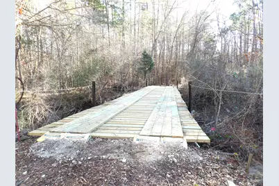 16590 E State Highway 21, Grapeland, TX 75844 - Photo 7