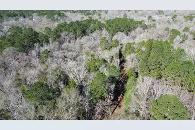 16590 E State Highway 21, Grapeland, TX 75844 - Photo 33