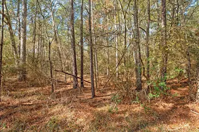 13681 Cr 201 Loop Lane, Plantersville, TX 77363 - Photo 9
