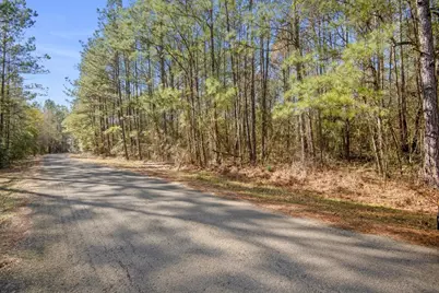 13681 Cr 201 Loop Lane, Plantersville, TX 77363 - Photo 1