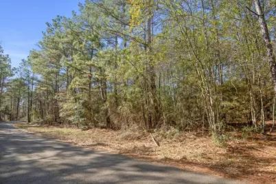 13681 Cr 201 Loop Lane, Plantersville, TX 77363 - Photo 5