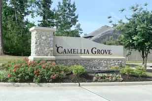 10023 Angelina Woods Ln, Conroe, TX 77384 - Photo 37