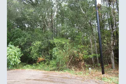 Lot 9 Stephens Forest, New Caney, TX 77357 - Photo 9