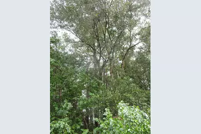 Lot 9 Stephens Forest, New Caney, TX 77357 - Photo 5