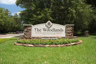 7 Mayborough Ct, The Woodlands, TX 77382 - Photo 33