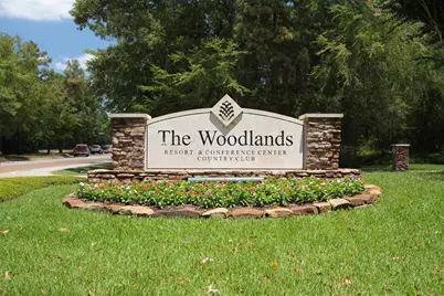 7 Mayborough Court, The Woodlands, TX 77382 - Photo 33