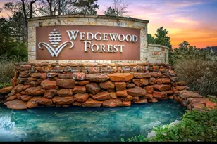 748 Wedgewood Pk, Conroe, TX 77304 - Photo 33