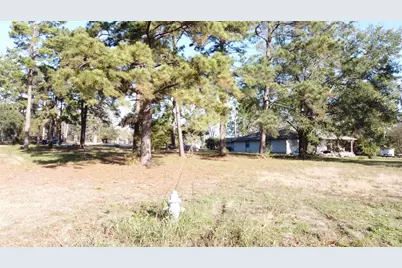 14163 Teel Road, Montgomery, TX 77356 - Photo 3