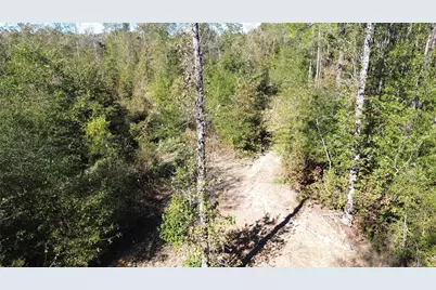 Tbd Fm 1280 East, Lovelady, TX 75851 - Photo 17
