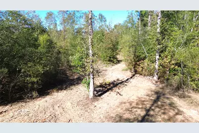 Tbd Fm 1280 East, Lovelady, TX 75851 - Photo 3