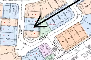 19218 Trinity Ter Ln, Spring, TX 77379 - Photo 41