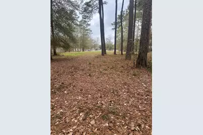 17107 Paluxy Court, Splendora, TX 77372 - Photo 5