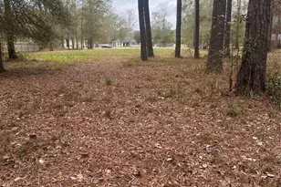 17107 Paluxy Ct, Splendora, TX 77372 - Photo 5