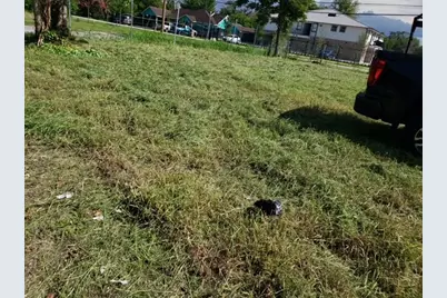 2823 Berry Road, Houston, TX 77093 - Photo 5