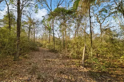 Tbd Farm To Market 979, Franklin, TX 77856 - Photo 5