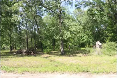 000 Panther Lane, Livingston, TX 77351 - Photo 5