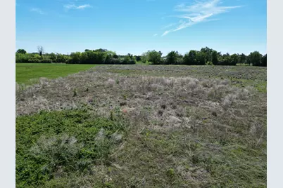 10.01 Acres Cr 3495, Lovelady, TX 75851 - Photo 13