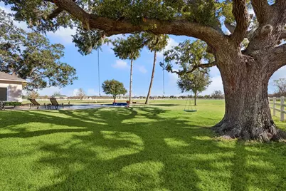 16511 Suncreek Ranch, Rosharon, TX 77583 - Photo 31