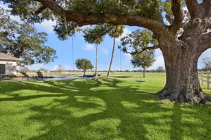 16511 Suncreek Ranch, Rosharon, TX 77583 - Photo 31